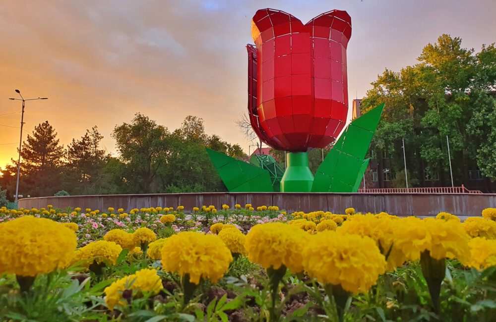 Info Shymkent - Tulip fountain during dusk in spring in Shymkent