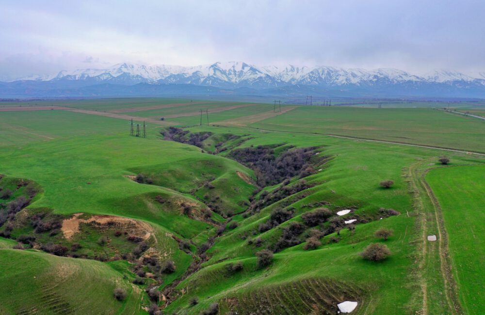 Info Shymkent - Small valley between green fields with Western Tien-Shan Mountains in spring time in the backdrop