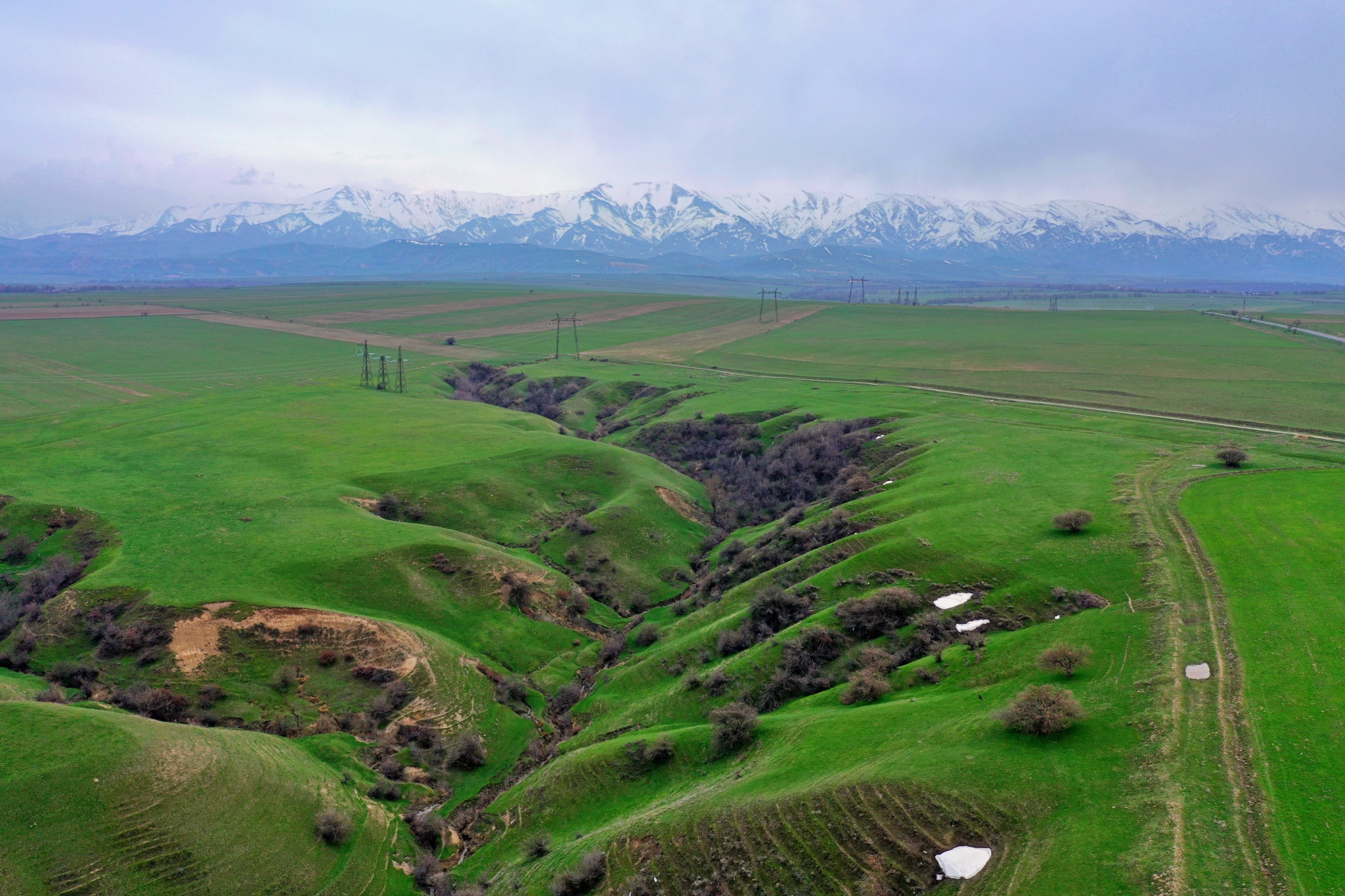 Info Shymkent - Small valley between green fields with Western Tien-Shan Mountains in spring time in the backdrop