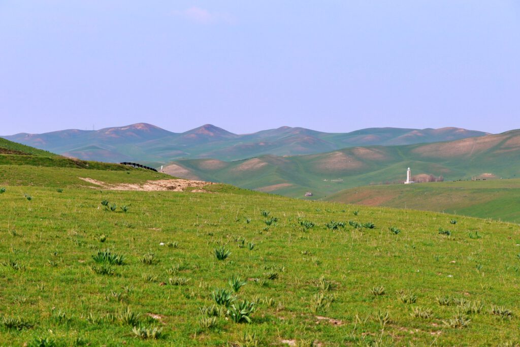 Info Shymkent - Green rolling-hills and a mosque near Shymkent