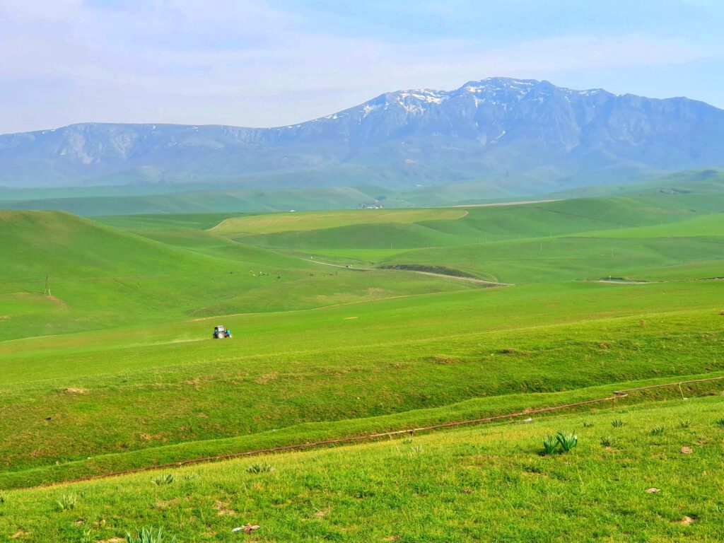 Info Shymkent - Green rolling hills near the Kazygurt mountain